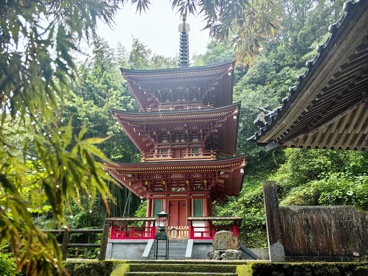 第三十六番  獨鈷山 青龍寺